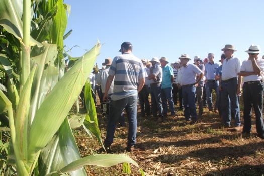 Agricultores no Dia de campo 2019 Agricultores no Dia de campo 2019