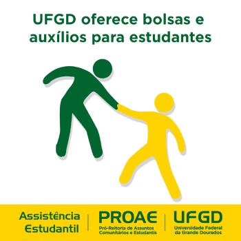 bolsas bolsas