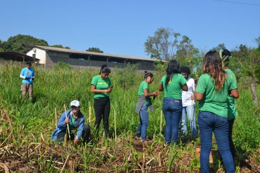  Projeto 'Nascente Viva' é um dos que receberão indígenas como bolsistas de extensão.