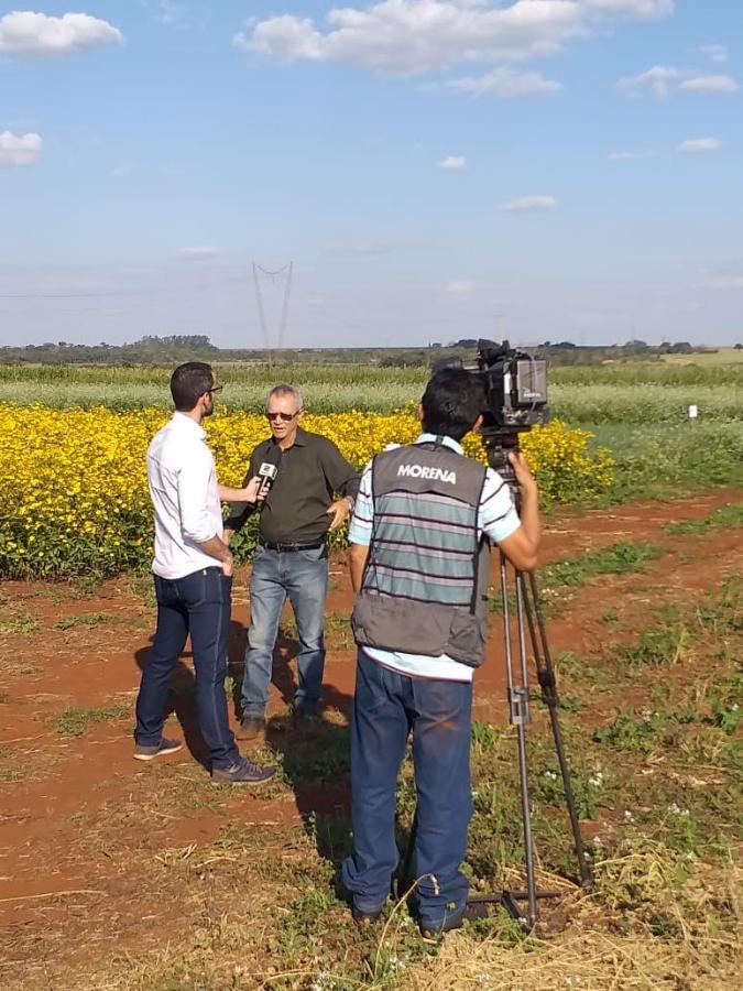 fazenda experimental 2