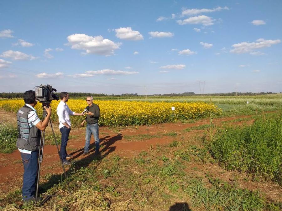 fazenda experimental 3