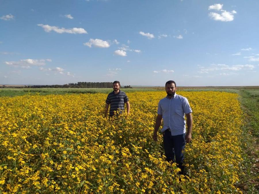 fazenda experimental 4