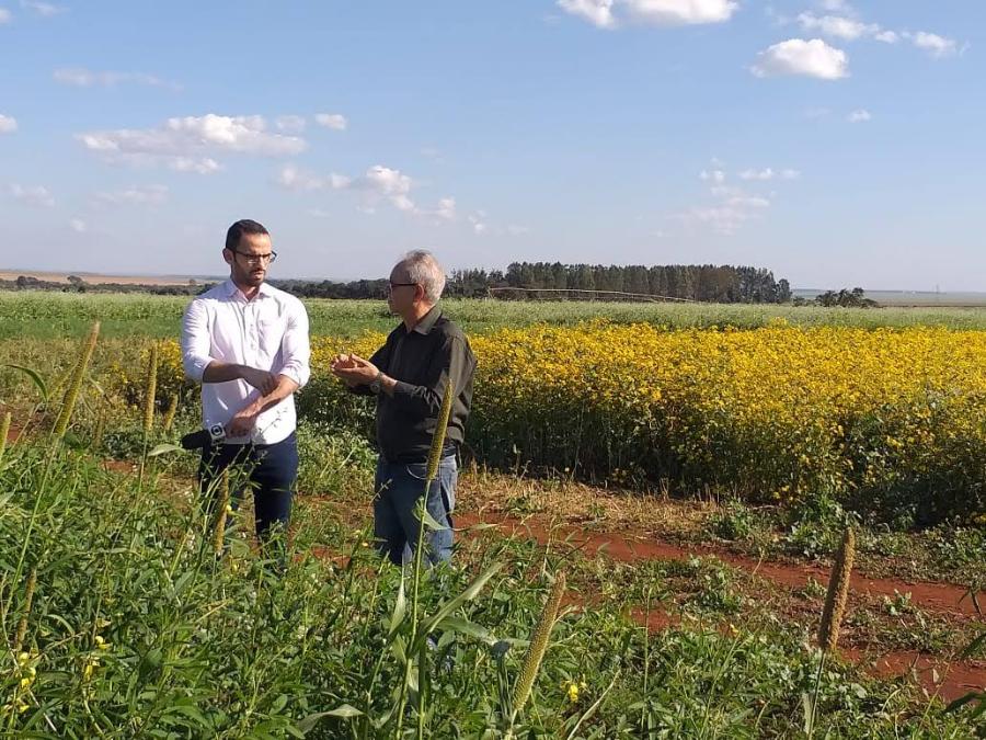 fazenda experimental 5