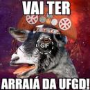 arraia