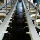 Aquicultura UFGD visita UFSC