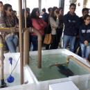 Aquicultura UFGD visita UFSC
