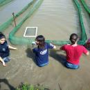 Engenharia Aquicultura