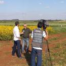 fazenda experimental 2