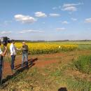 fazenda experimental 3