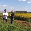 fazenda experimental 5