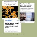 postagem