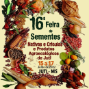 16 feira