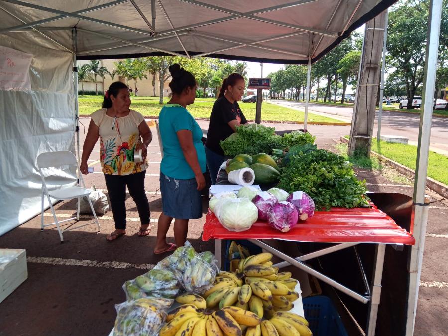 Os alimentos são vendidos para a APOMS e em feiras de Dourados, entre elas a feira no campus da UFGD. projeto animo