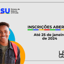Sisu