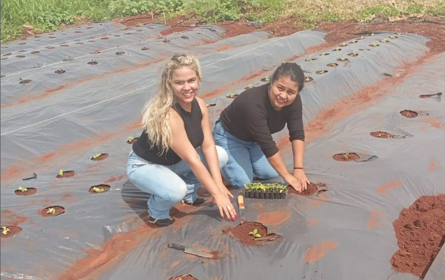 Horta agroecológica sendo implementada em uma das áreas atendidas. Projeto de Extensão Ânimo - Ñande Retea’e