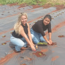 Projeto de Extens&atilde;o &Acirc;nimo - &Ntilde;ande Retea&rsquo;e