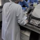 laboratório ufgd