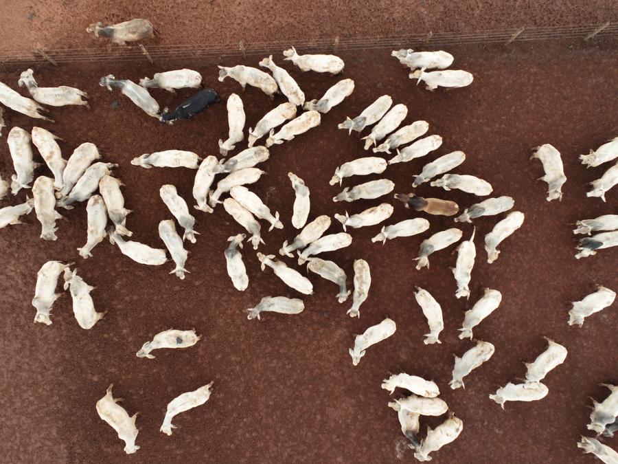 Imagem feita por meio do uso de drone ufgd