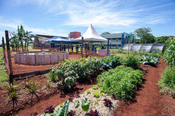 UFGD, Embrapa e Aldeia Panambizinho promovem Dia de Campo Intercultural nesta segunda-feira