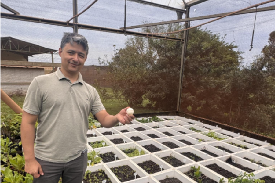 Na FAECA, Jefersson Alex dos Santos apresenta uma biocápsula com sementes florestais encapsuladas, preparada para futura dispersão por drone ufgd
