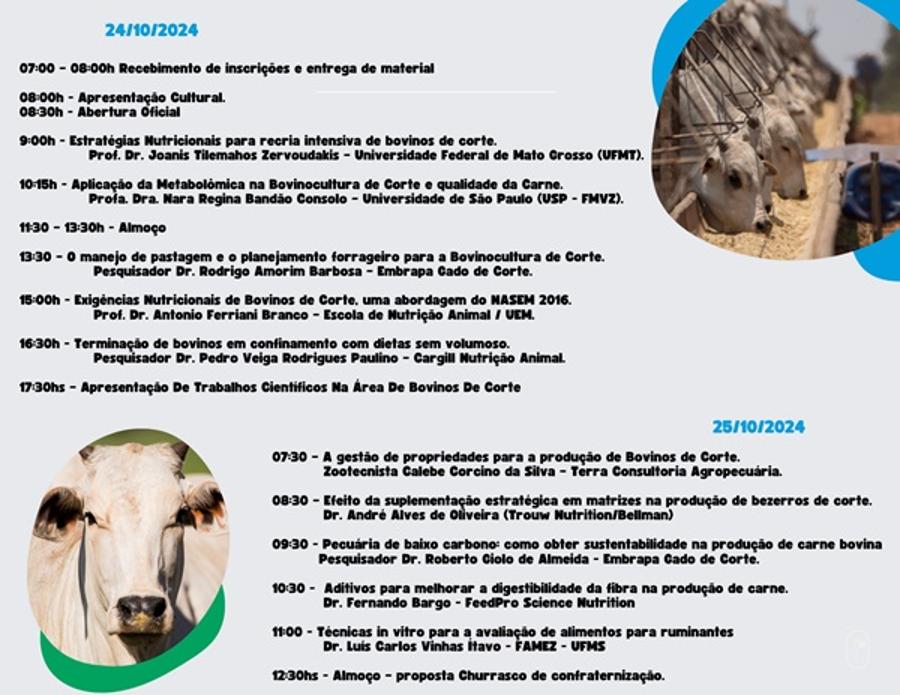 Programação site