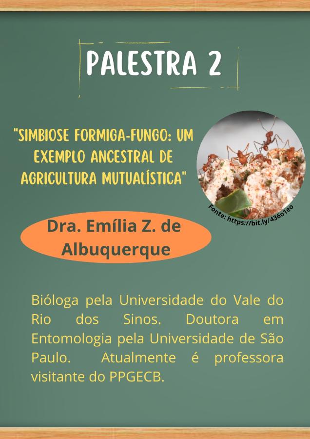 Palestra 02