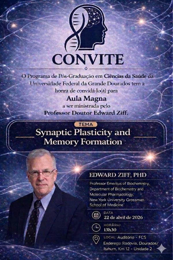 Palestra Synaptic Plasticity ande Memory Formation